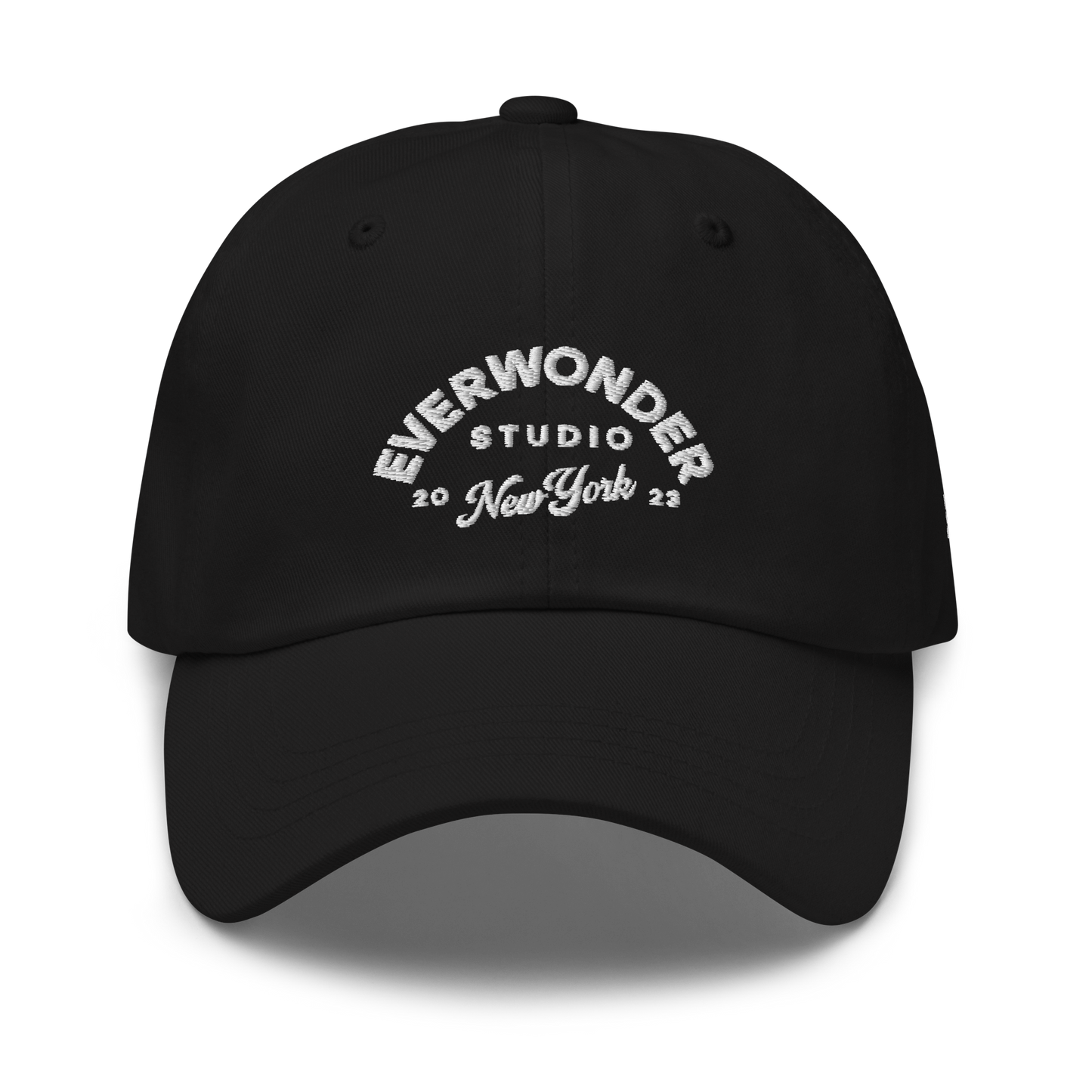 EverWonder Dad Hat