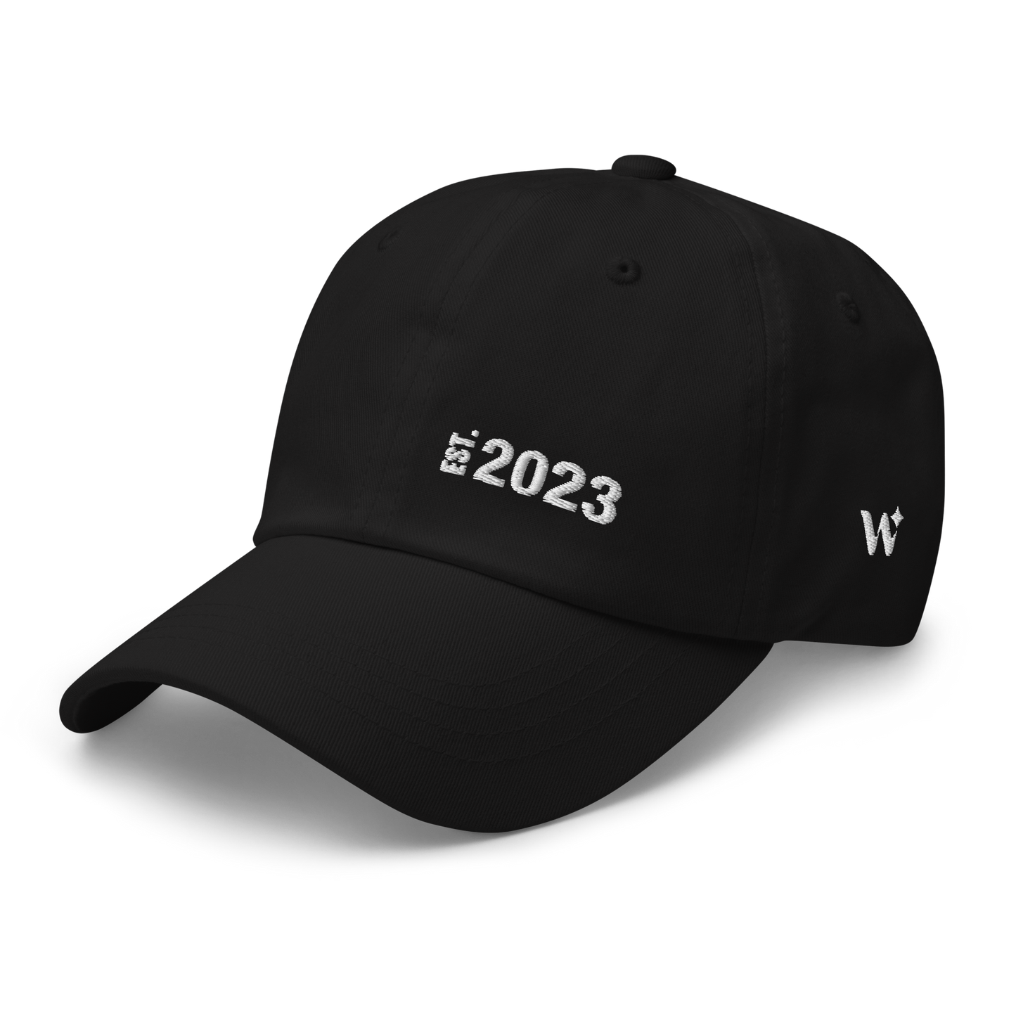 Est. 2023 Dad Hat