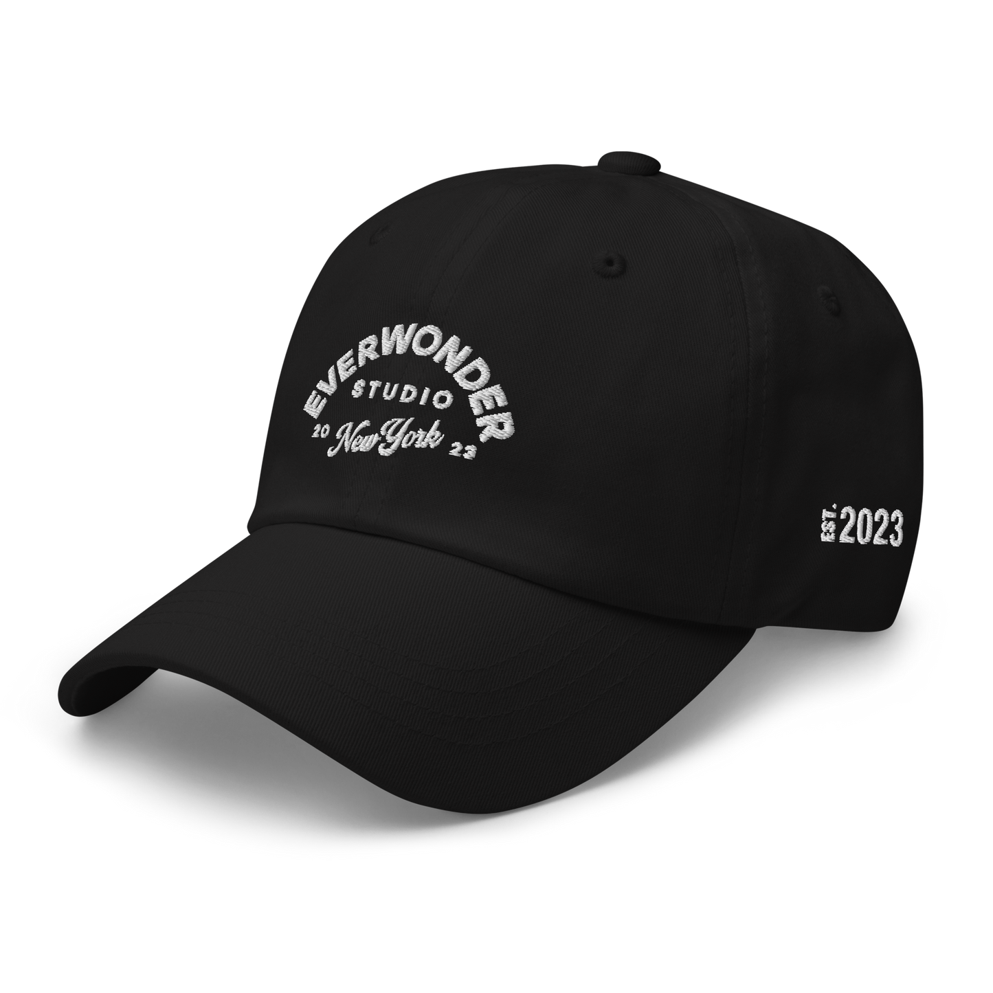 EverWonder Dad Hat