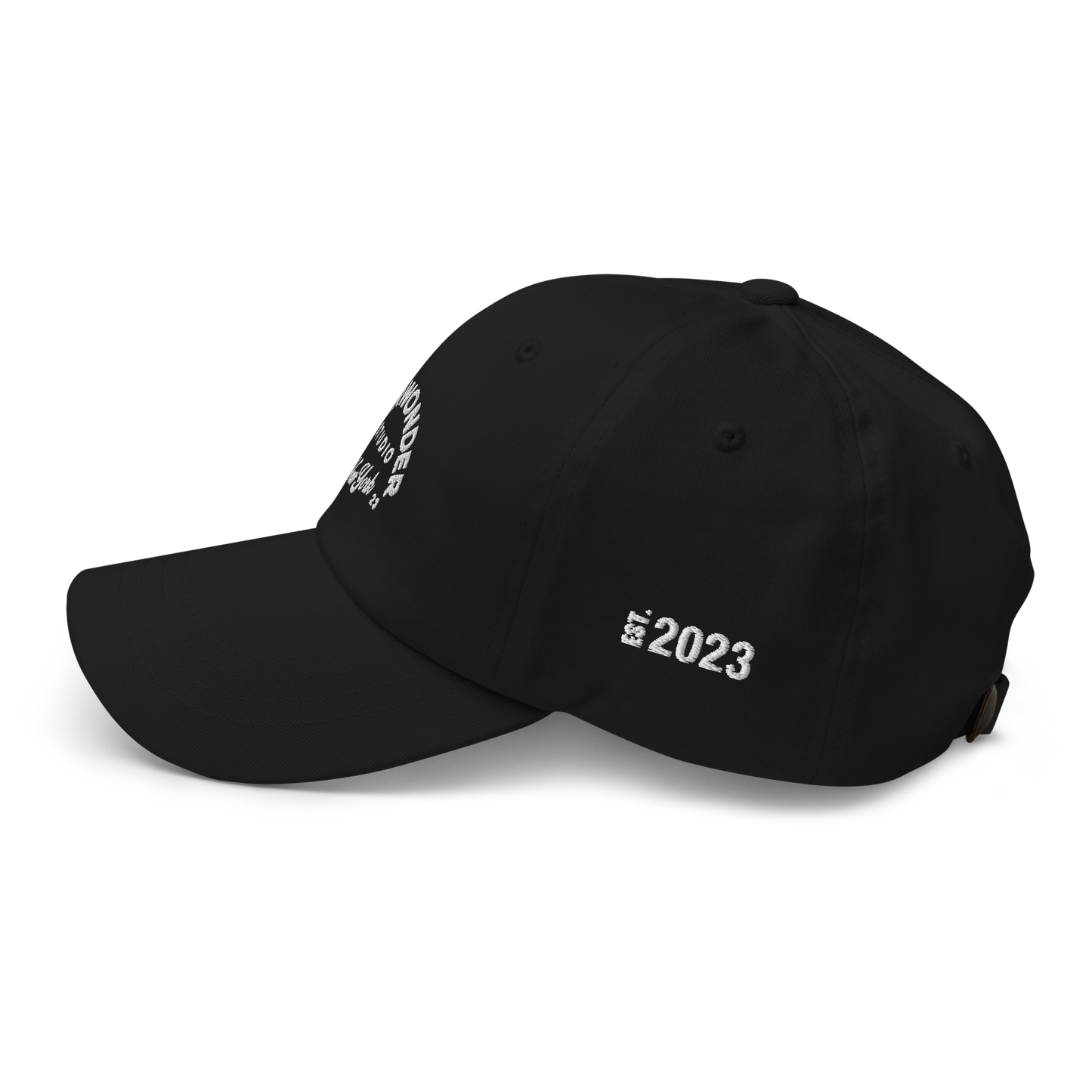EverWonder Dad Hat