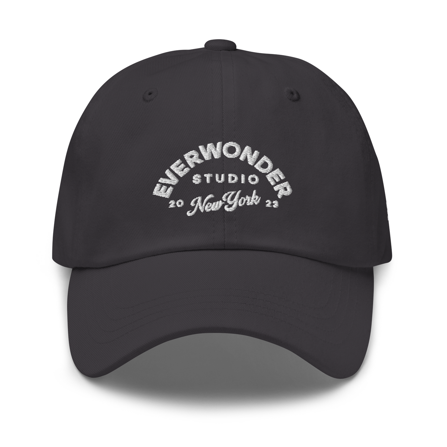 EverWonder Dad Hat
