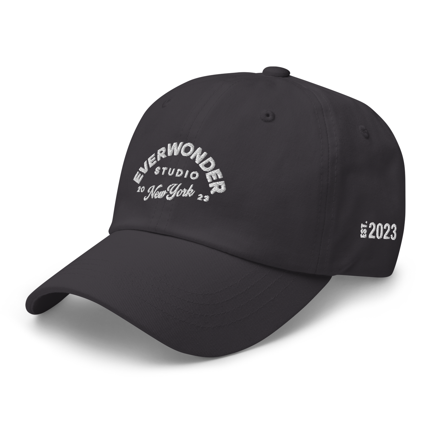 EverWonder Dad Hat