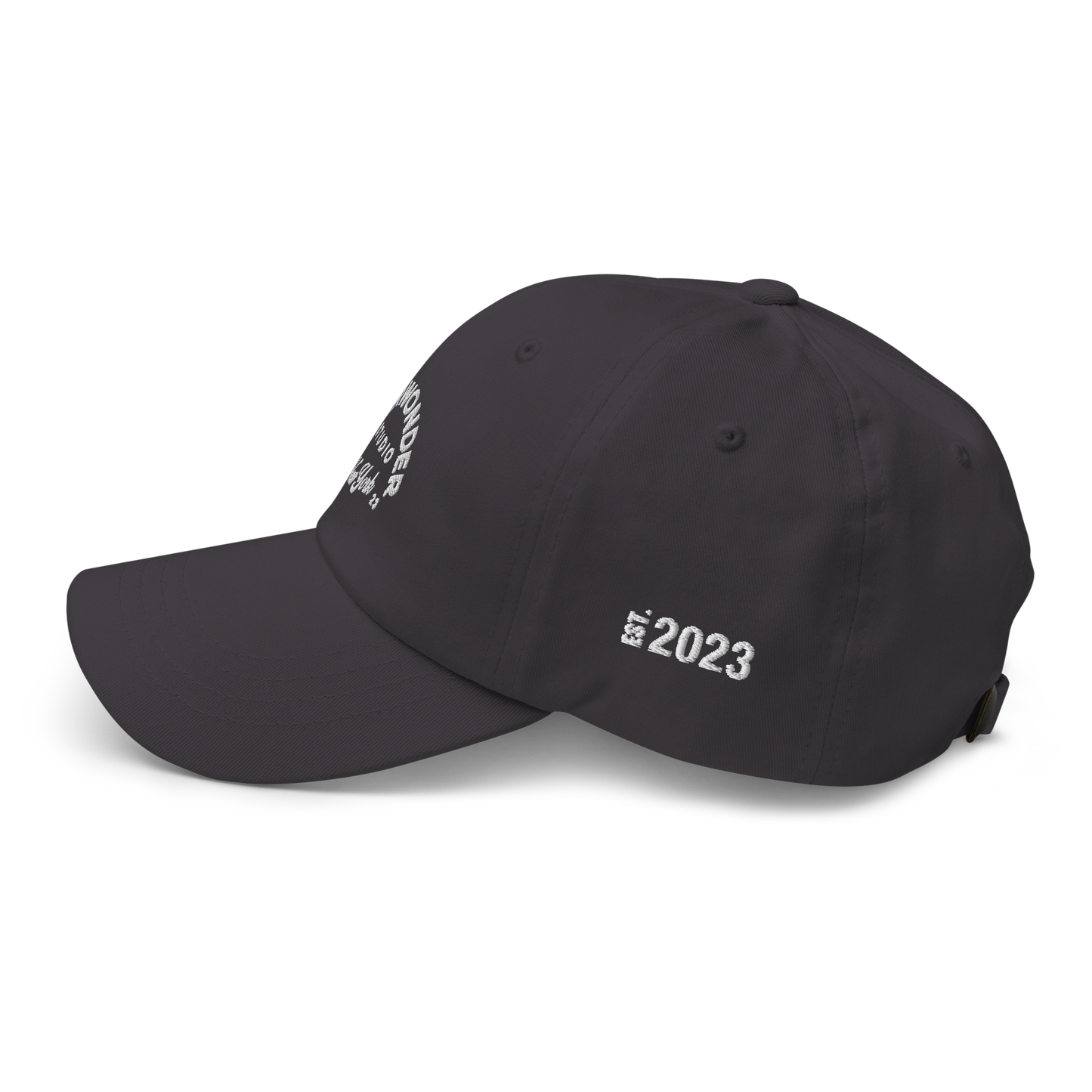 EverWonder Dad Hat
