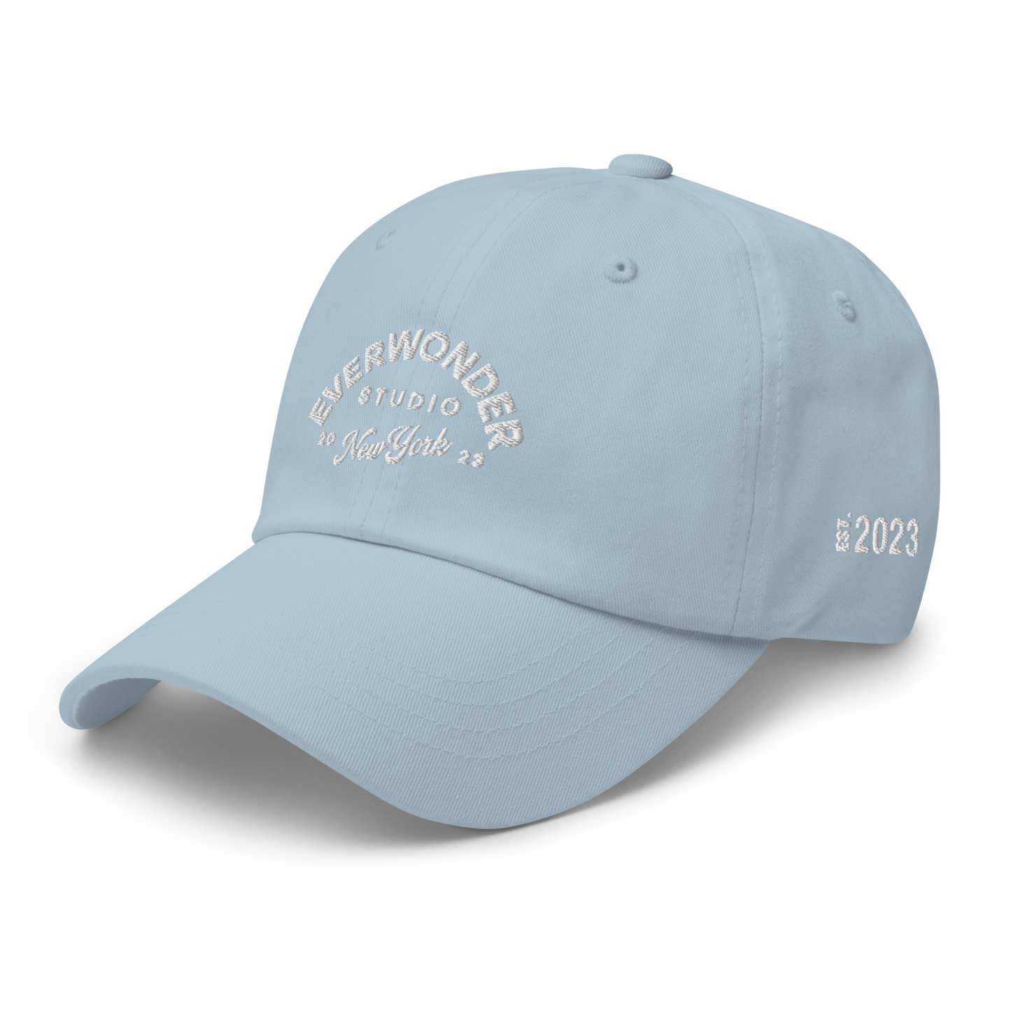 EverWonder Dad Hat