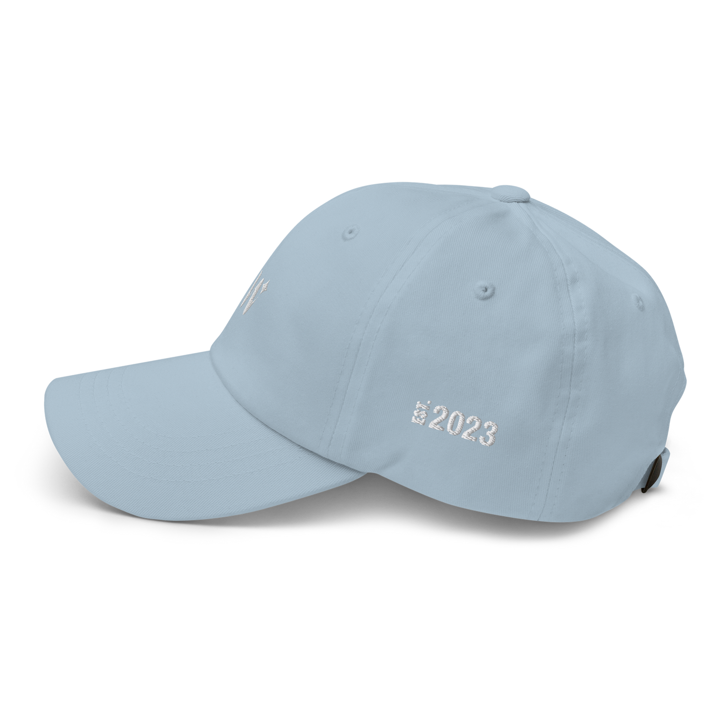 "W" Dad Hat
