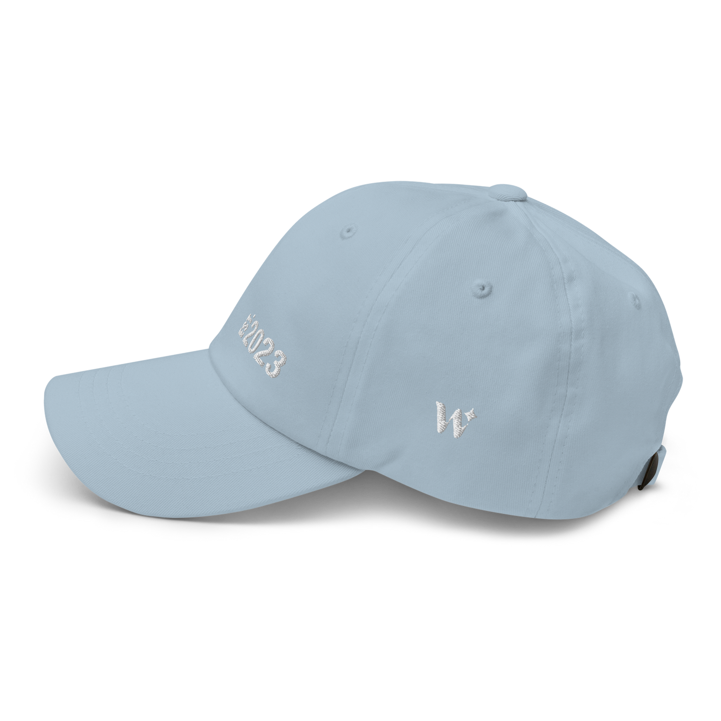 Est. 2023 Dad Hat