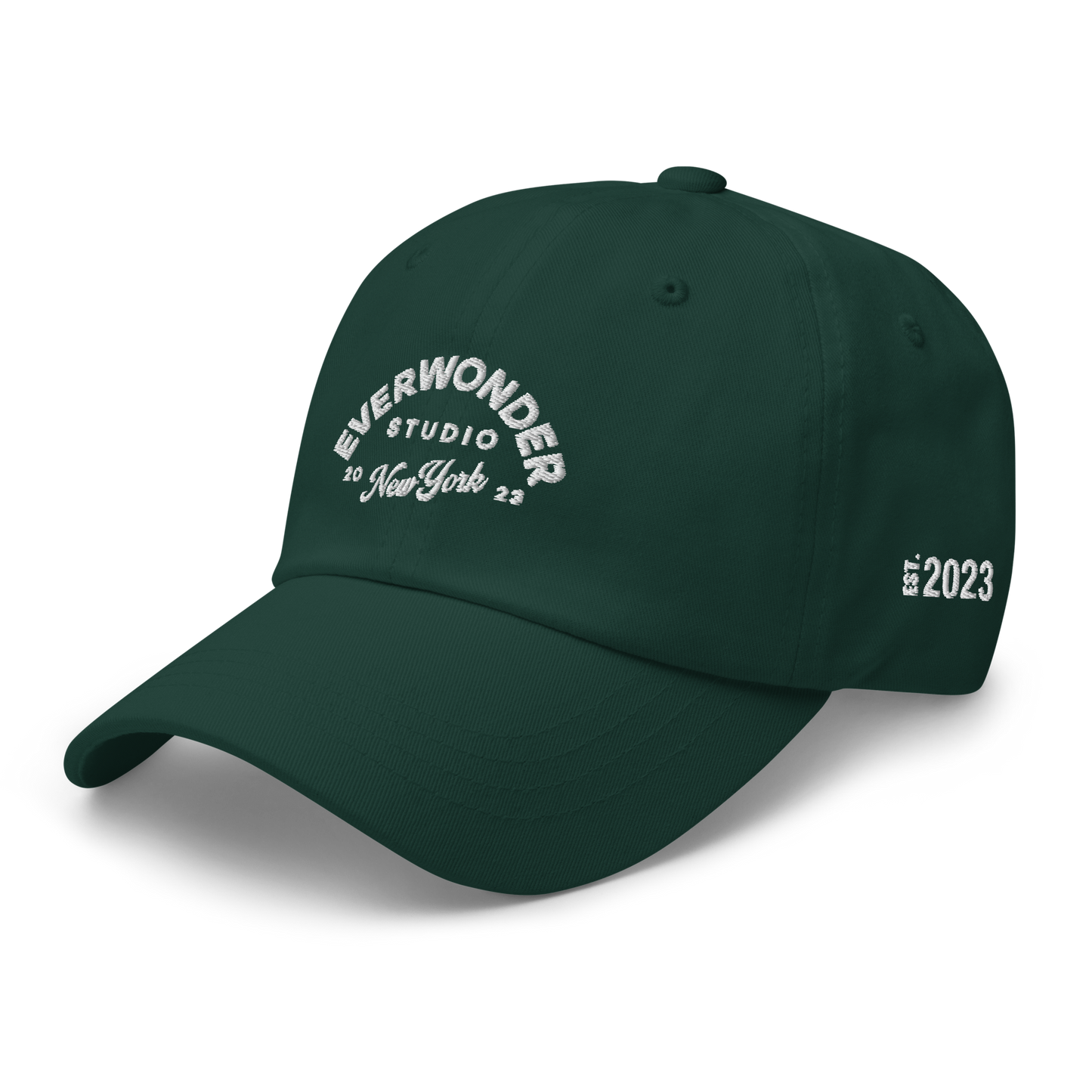 EverWonder Dad Hat
