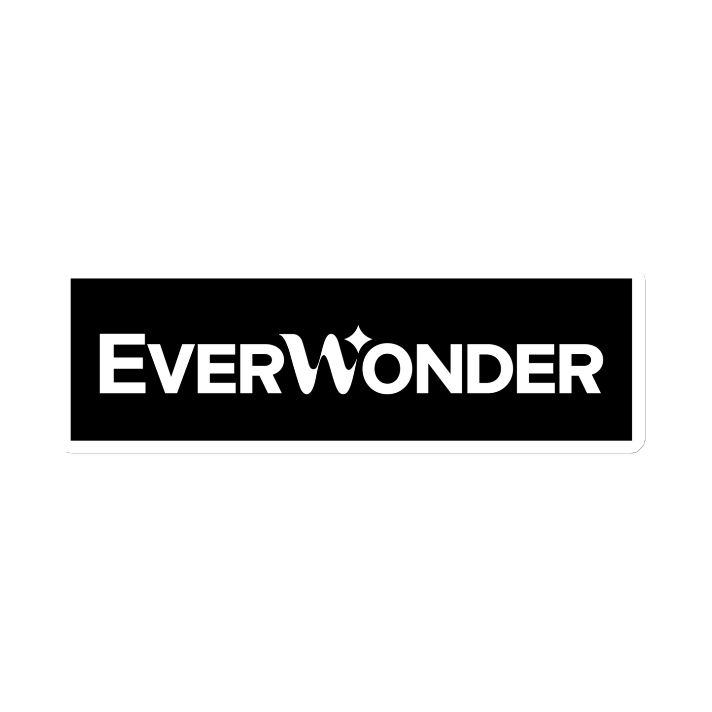 EverWonder Magnet